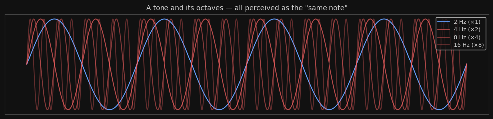 <Figure size 1000x250 with 1 Axes>